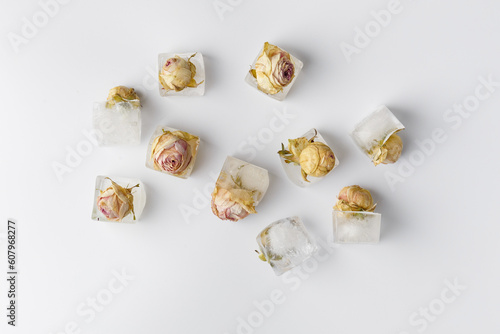 Rose buds in ice cubes on white isolated top view.
