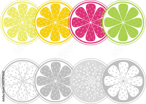 Stylized vector citrus slices set isolated on white background. Color and black&white version.