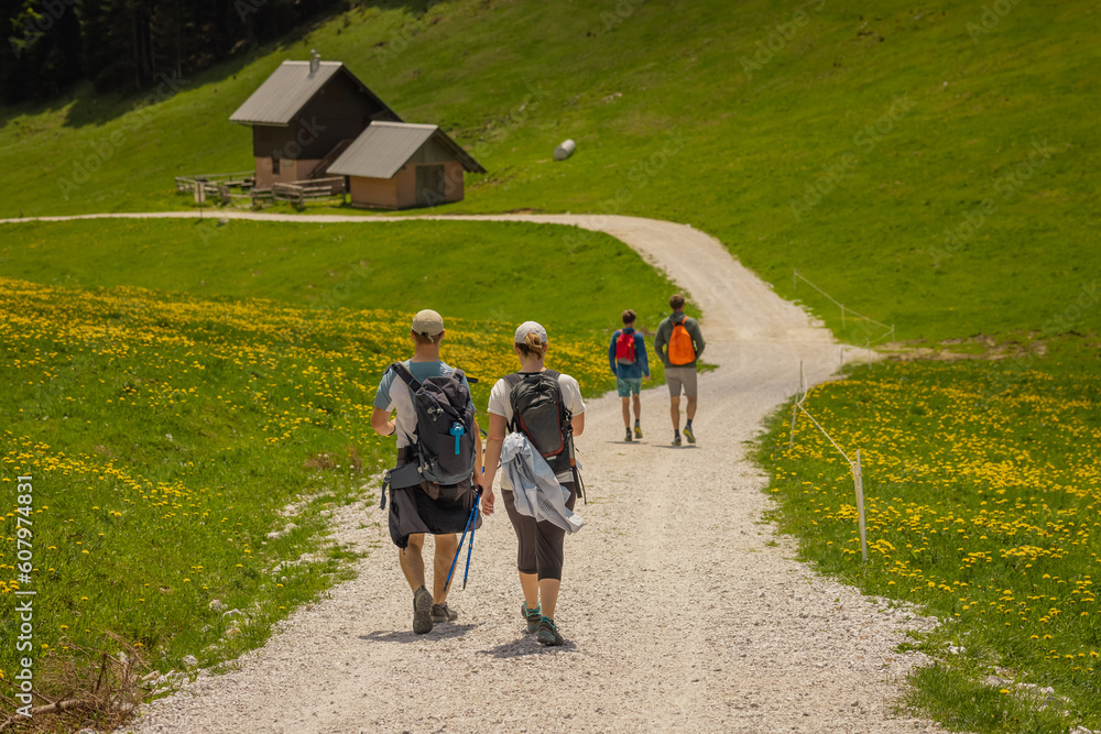 Two pairs of anonimous hikers strolling on a gravel path in a beautiful green valley with flowers and some cottages along the way. Two pairs of anonimous hikers strolling on a gravel path in a beautiful green valley with flowers and some cottages along the way.