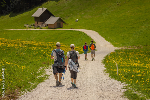 Two pairs of anonimous hikers strolling on a gravel path in a beautiful green valley with flowers and some cottages along the way.