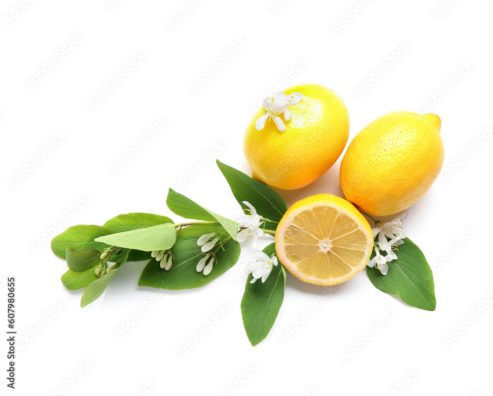Delicious ripe lemons and flowering branches on white background