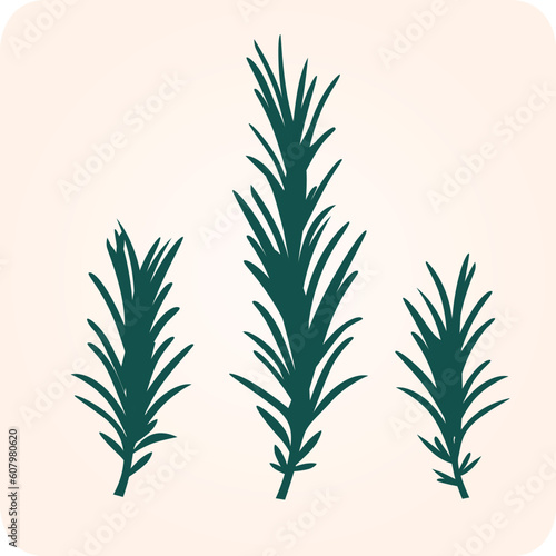 Rosemary herbs vector illustration. Green silhouette isolated on light brown background.