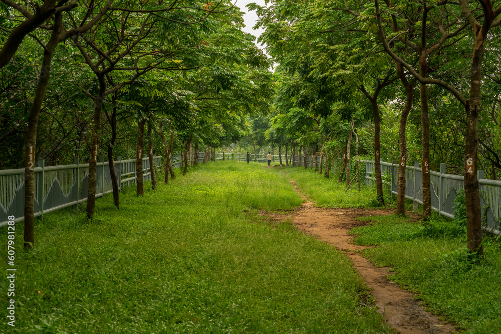 The path led by the fence is covered with numbered greenery The path led by the fence is covered with numbered greenery