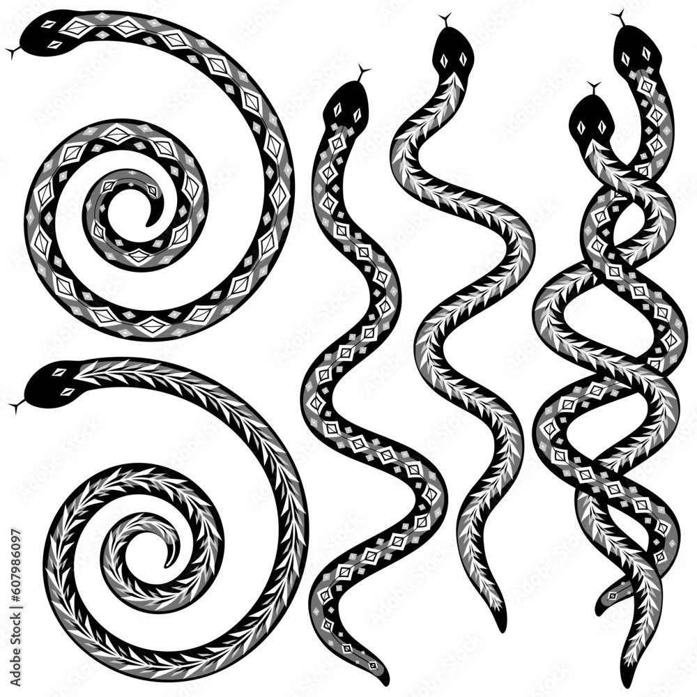 Fototapeta premium Set of editable vector snakes designs black and white