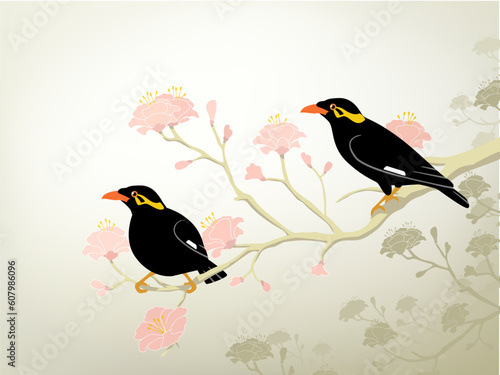 Editable vector illustration of a pair of endangered hill myna birds