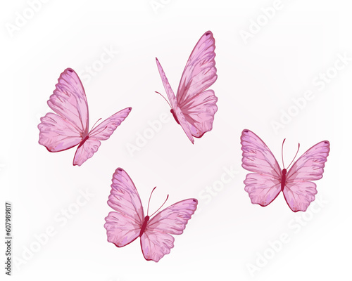 butterfly hand drawn design vector © gltekin