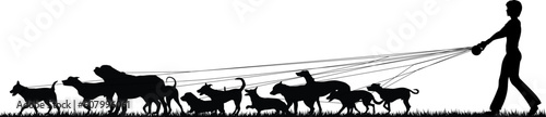 Foreground silhouette of a woman walking many dogs with all elements as separate editable objects