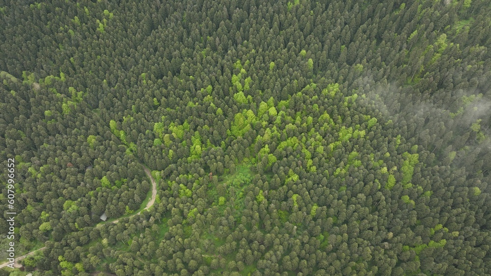 The World's Most Beautiful Forests and Lakes, Yedigöller The World's Most Beautiful Forests and Lakes, Yedigöller