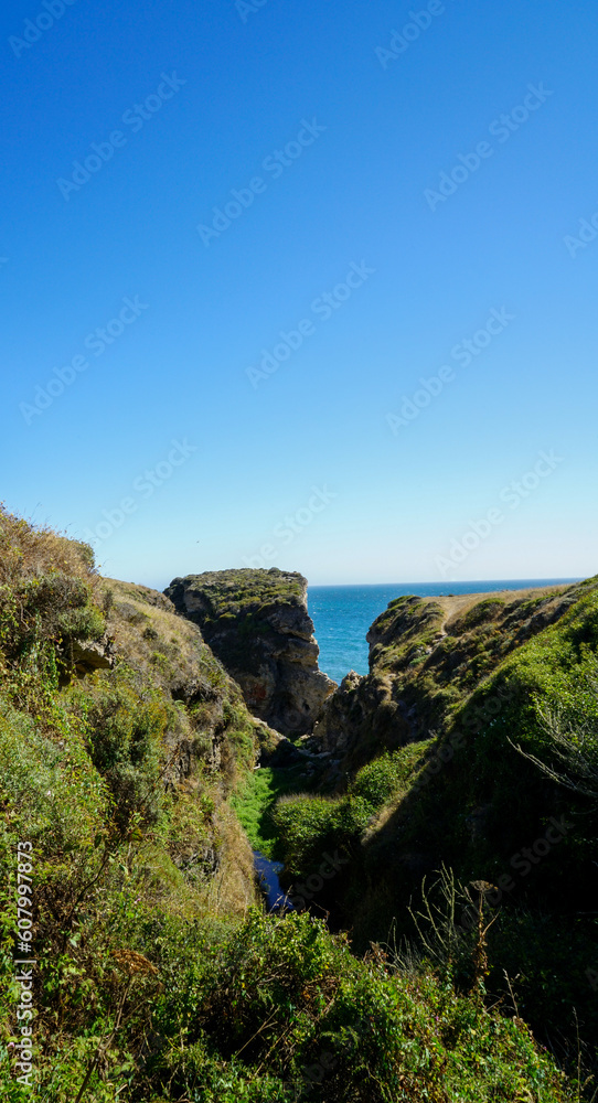 Beautiful day on the coastal trail in Point Reyes Station in California