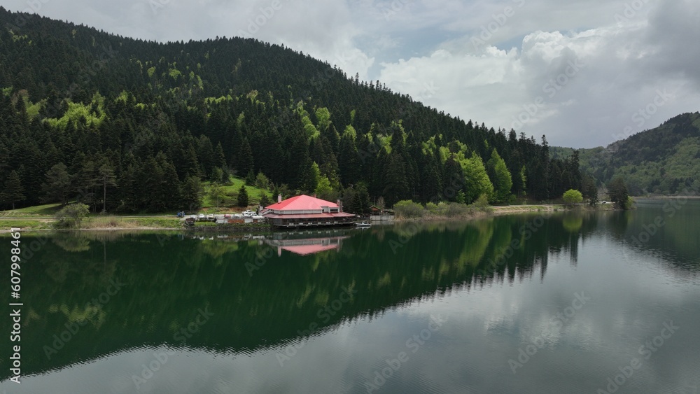 You can see all the shades of green. You can see all the shades of green.