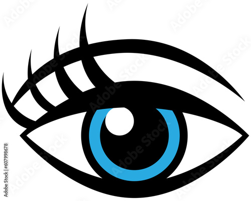 Human female eye isolated on a white background.