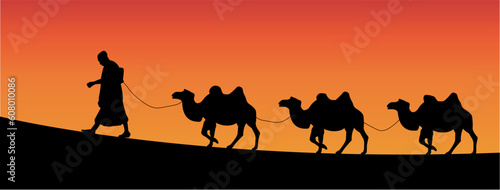 vector silhouette of camels