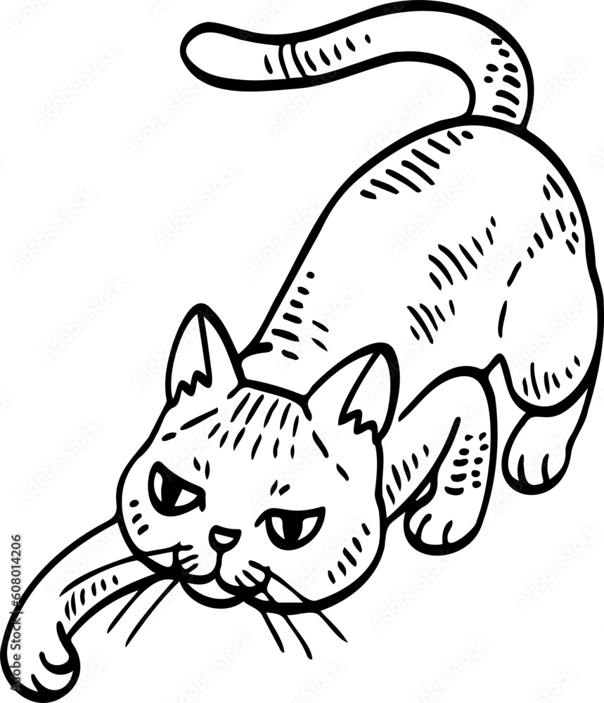 cute cartoon cat drawing.