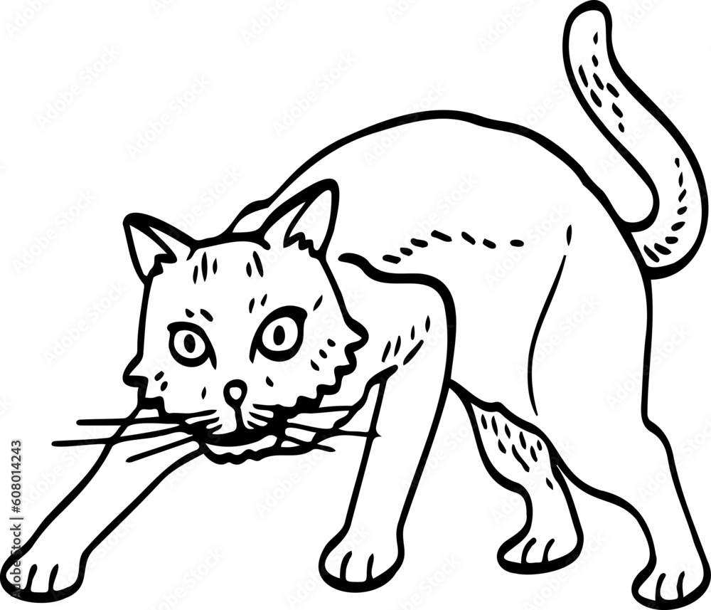 Fototapeta premium cute cartoon cat drawing.