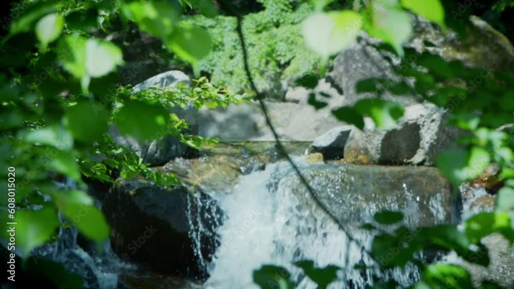 日本の渓谷 日本の渓谷