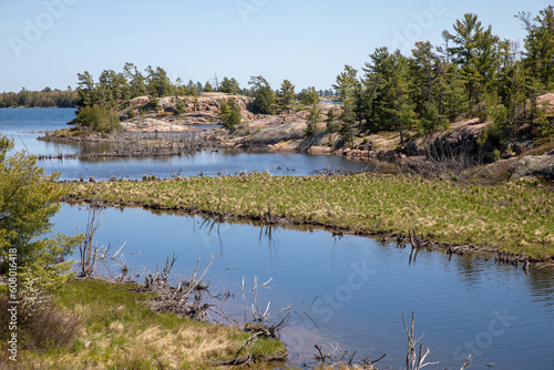 Killarney Provincial park in Canada. lake in the mountains. in the forest photo