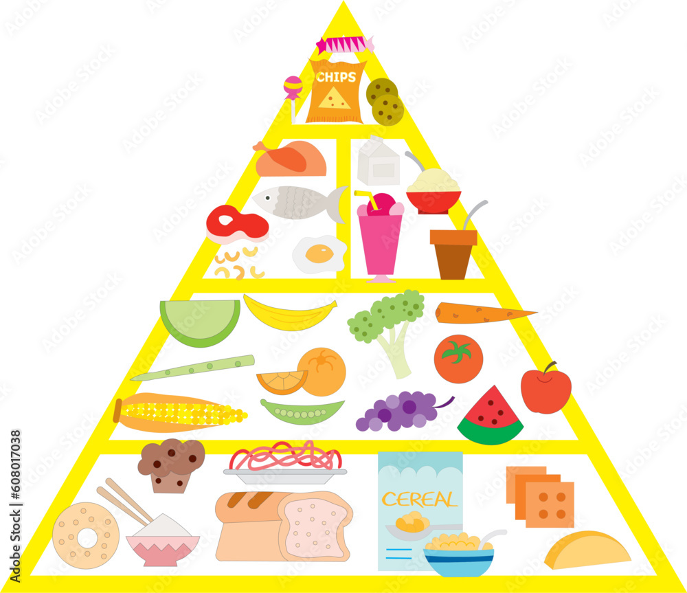 food pyramid, vector illustartion on the withe background food pyramid, vector illustartion on the withe background