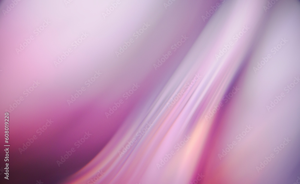 Fototapeta premium 美しいパープルのイメージ