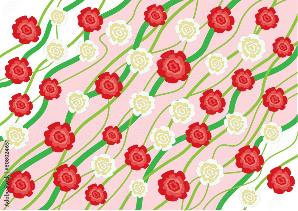 The flowers red and white roses background The flowers red and white roses background