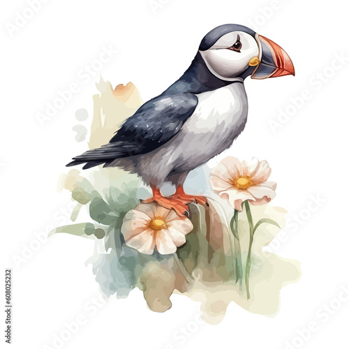 Cute puffin bird cartoon in watercolor style