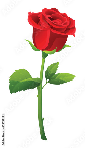 Single red rose vector illustration isolated on white background