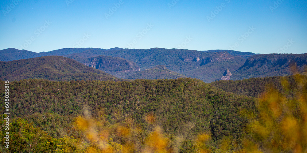 panorama of mountains of gold coast hinterland as seen from the top of pages pinnacle ridge; beautiful mountains near brisbane and gold coast in south east queensland, australia
