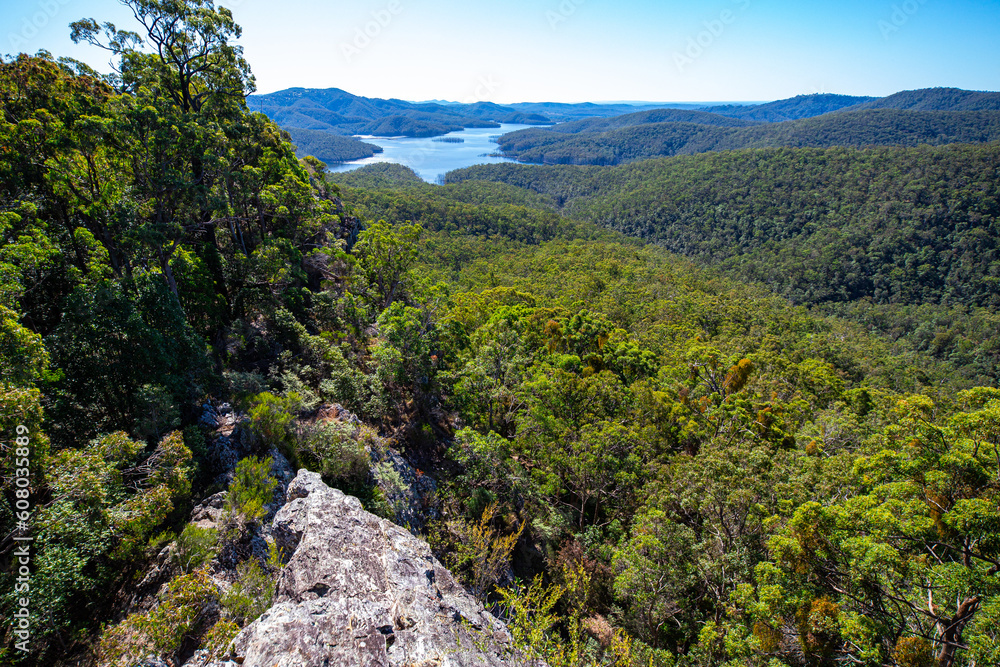 Panorama of advancetown lake and springbrook national park as seen from the top of pages pinnacle mountain ridge; hiking in the mountains near gold coast, queensland, australia