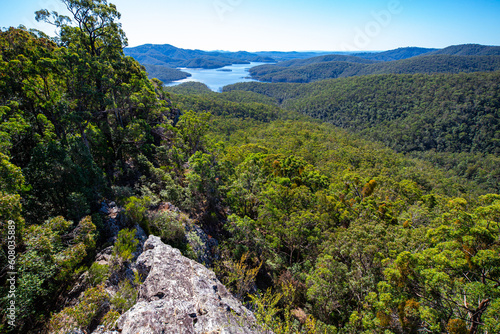 Panorama of advancetown lake and springbrook national park as seen from the top of pages pinnacle mountain ridge; hiking in the mountains near gold coast, queensland, australia