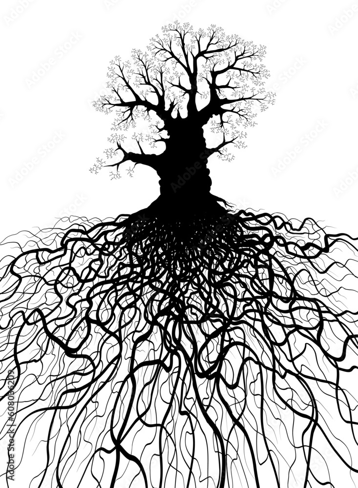 Oak Tree Roots Vector Editable vector illustration of a leafless oak tree with root system ...