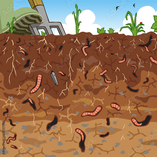 Editable vector illustration of earthworms in garden soil
