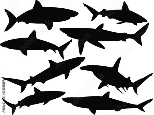 sharks silhouette collection - vector