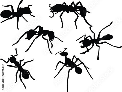ants silhouette collection vector