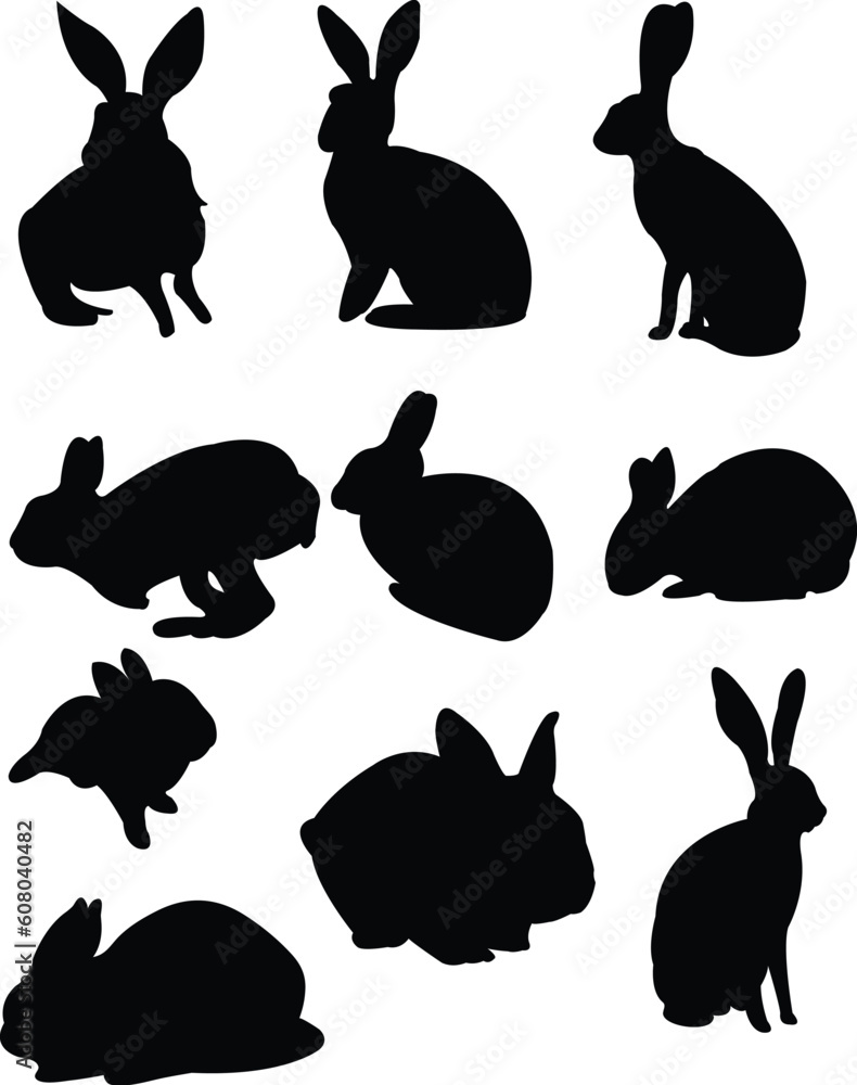 collection of rabbits - vector