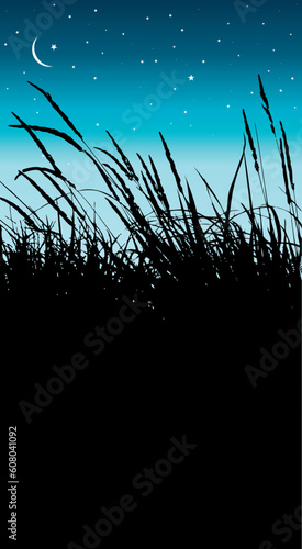 vector illustration of some reeds