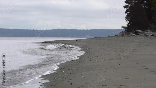 Peaceful waves roll in on a shell covered beach in the Pacific Northwest on a couldy day photo