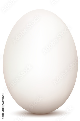 illustration of egg on white background