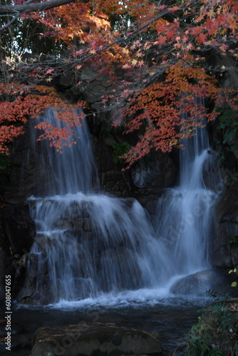 色づくモミジと滝の流れ