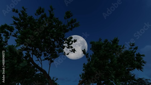 Time-lapse of treetops on the moon in the middle of the night photo