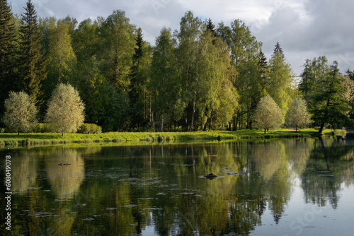 Beloe Lake in Gatchina Park on a sunny summer day, Gatchina, Leningrad Region, Russia