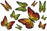 illustration of collection of butterflies on isolated background
