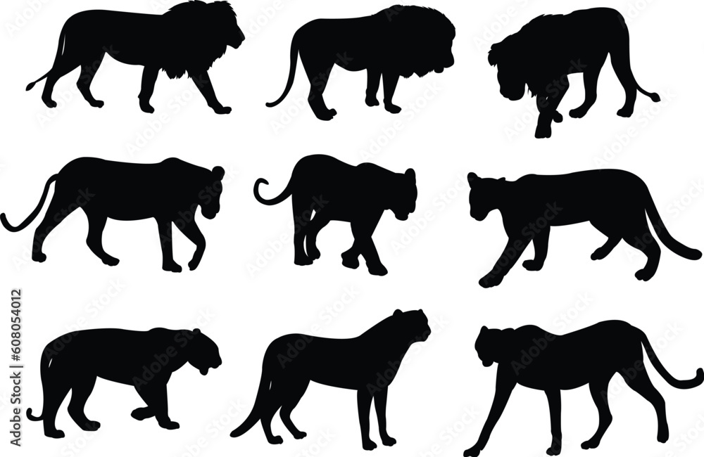 wild cats silhouettes - vector