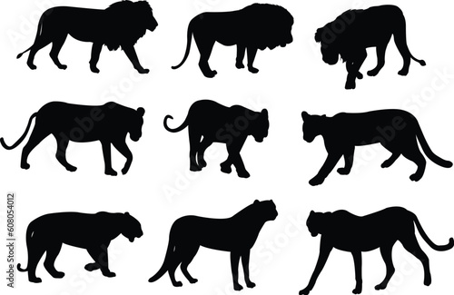 wild cats silhouettes - vector