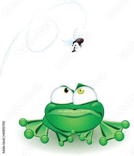 Frog with fly. Vector illustration on white background