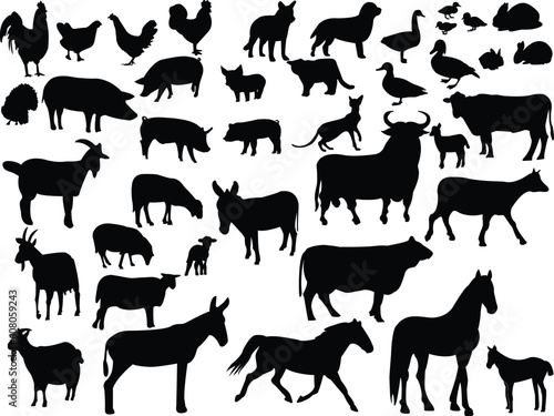 farm animals collection - vector