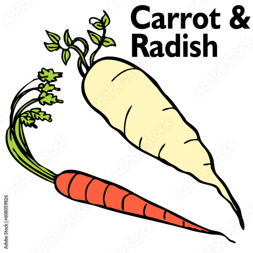 An image of a radish and carrot.