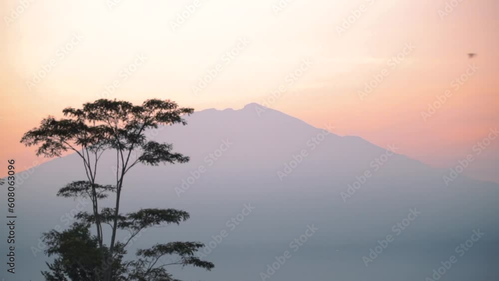 Merbabu mountain with trees in sunrise sky on the background - Nature video concept Merbabu mountain with trees in sunrise sky on the background - Nature video concept