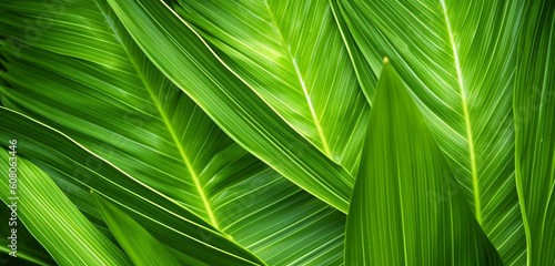 foliage background, green and fresh pattern, generative ai