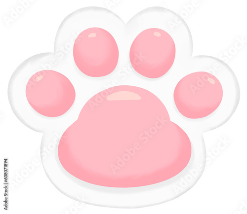 Cute white cat paw