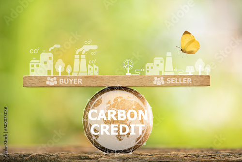 Carbon Credit is the amount of greenhouse gases reduced or stored.  and can be traded in the carbon market with organizations that want carbon credits to offset greenhouse gas emissions.