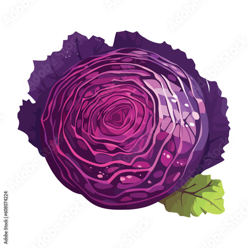 red cabbage vegetable symbolizes healthy eating